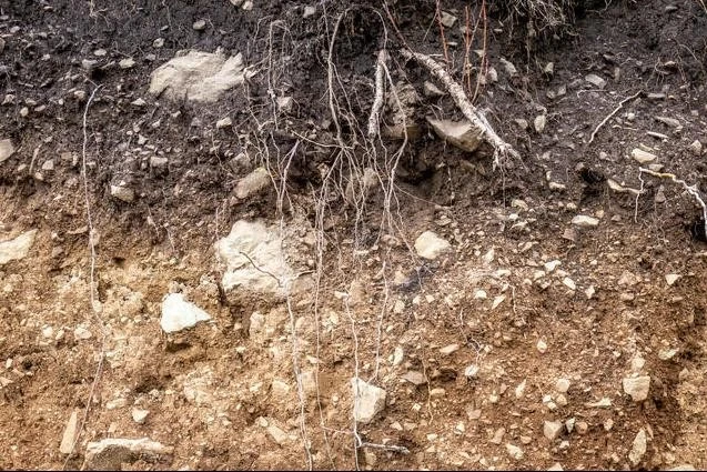 Layers of soil wet soil roots in soil soil profile soil zones rocks in soil Layers of soil wet soil roots in soil soil profile soil zones rocks in soil